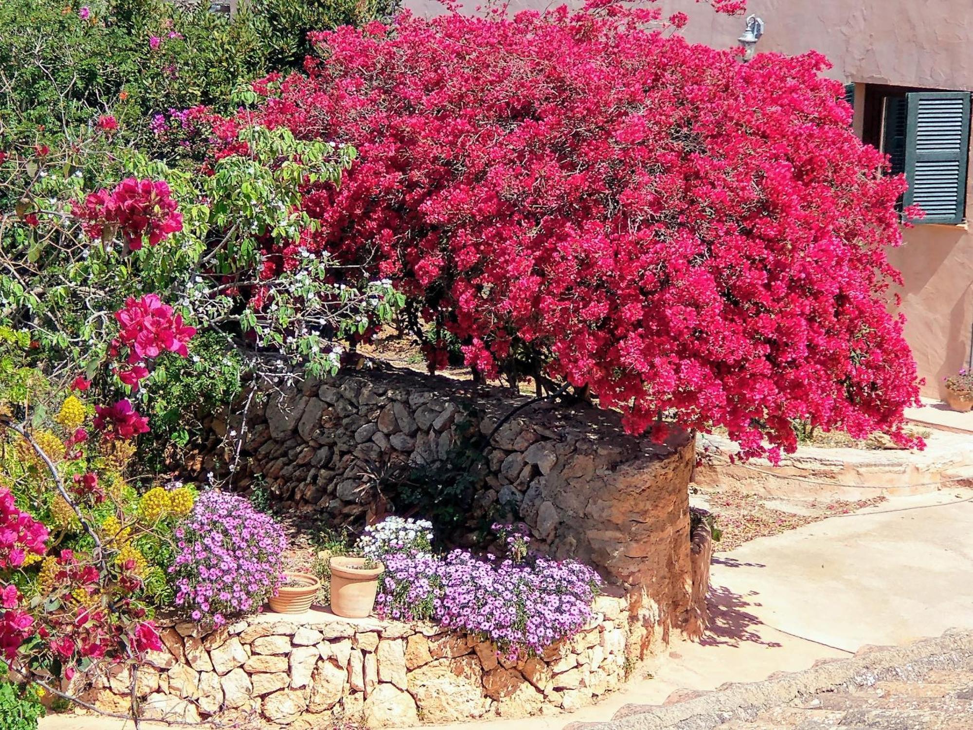 Finca Son Marimon (Adults Only) Santanyí Exterior foto