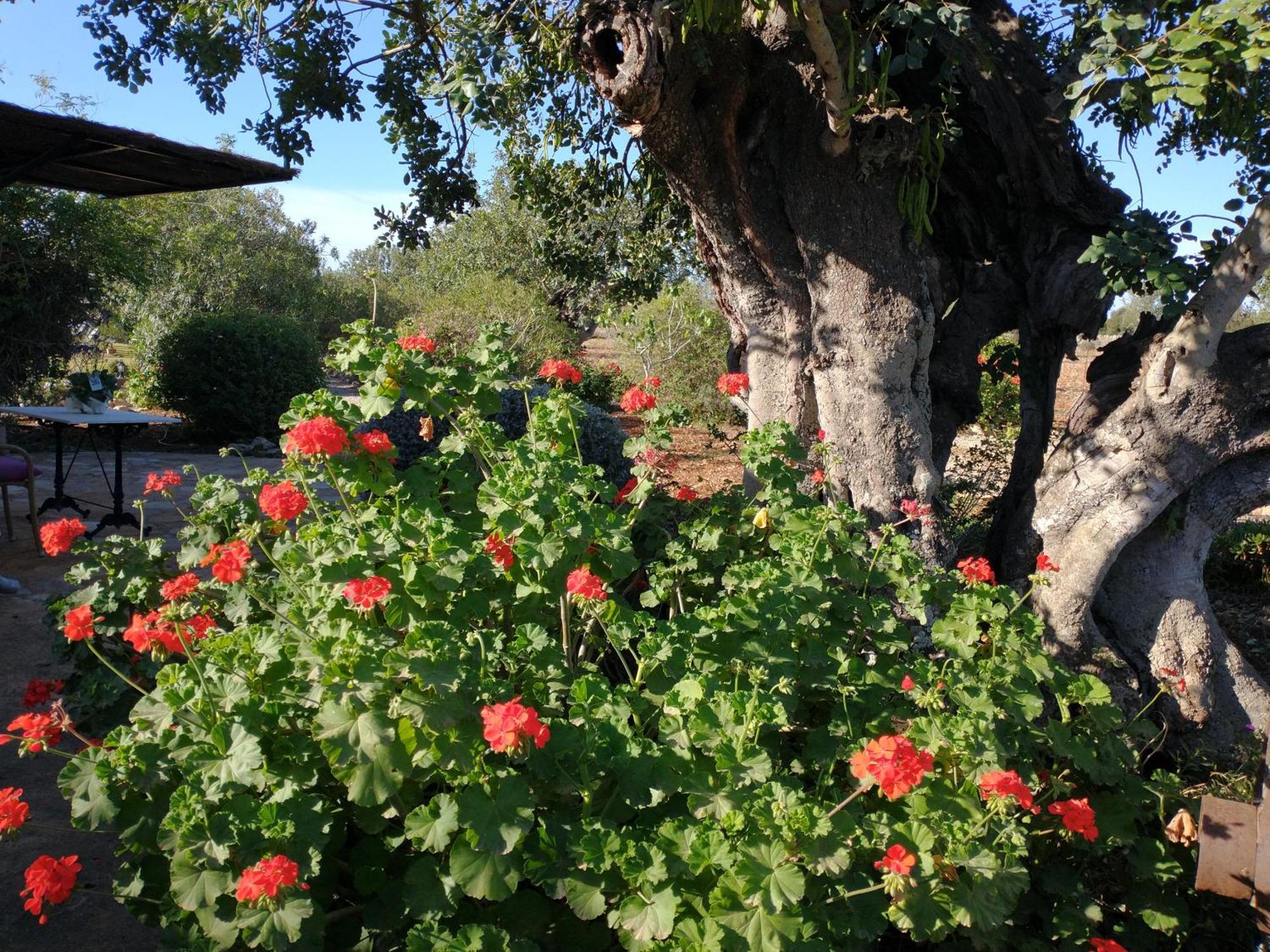 Finca Son Marimon (Adults Only) Santanyí Exterior foto